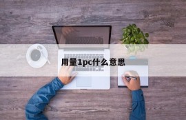 What does 1pc mean?