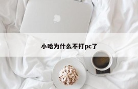 Why doesn't Xiao Ha play PC anymore?