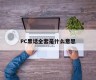 What does PC slang mean?