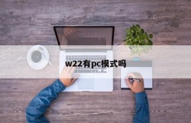 W22 has PC mode?