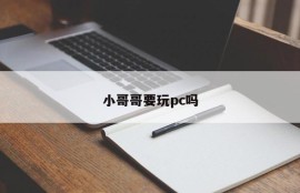 Do you want to play PC?