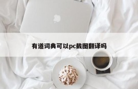 Can Youdao Dictionary translate PC screenshots?