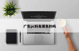 Does Guangdong PC material have black ones?